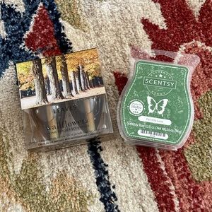 Leaves Wallflower refills  and Fall Into Love scentsy bar